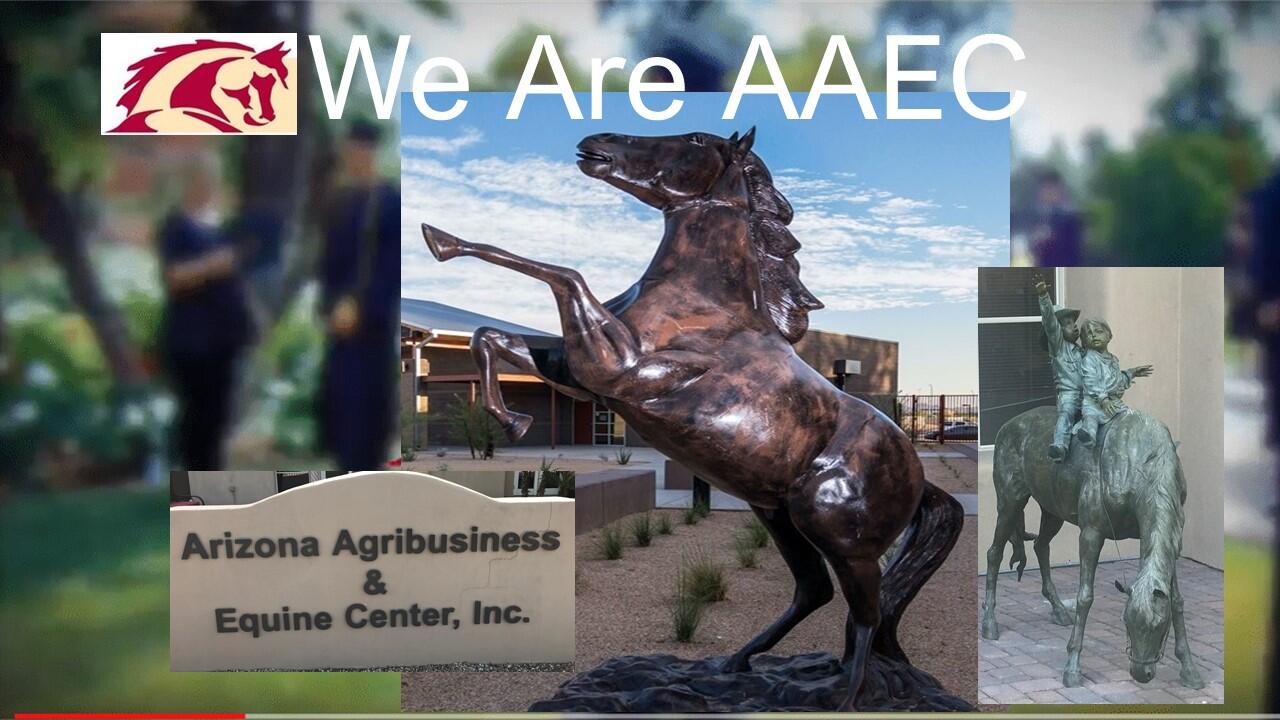 Arizona Agriculture and Equine Center, Inc. collage